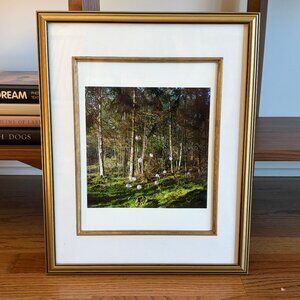 Framed Forest Photography Wall Art | Dreamy Nature + Balloon Scandinavian Decor